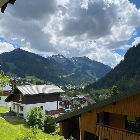 Chaleureux Calme Pres Du Centre, Animaux Admis, Parking - Fr-1-693-54 * Châtel